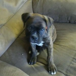 Meet your Posher, Jerry